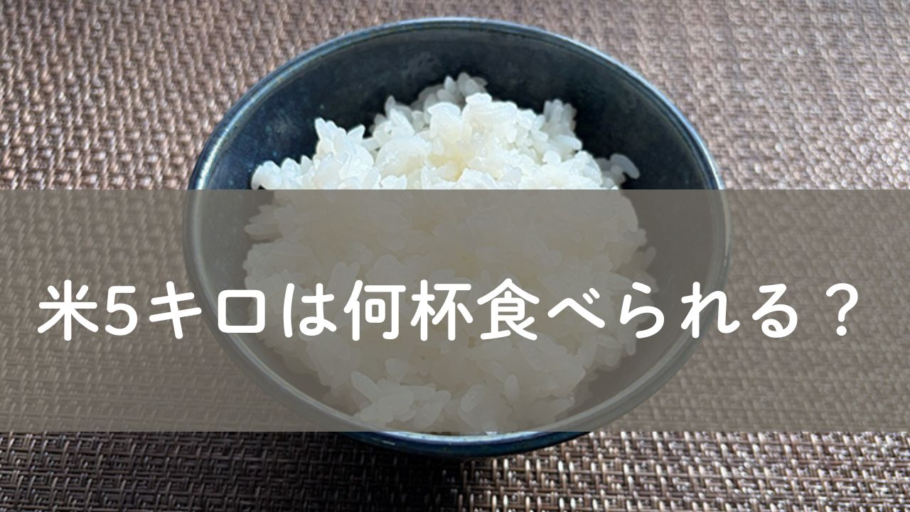 お米５キロは何杯分か